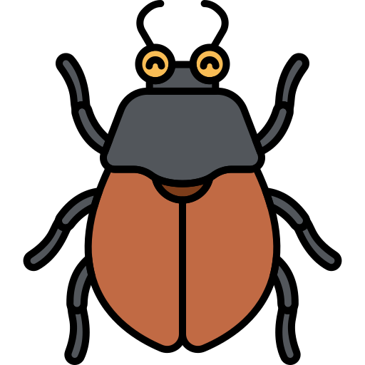 beetle
