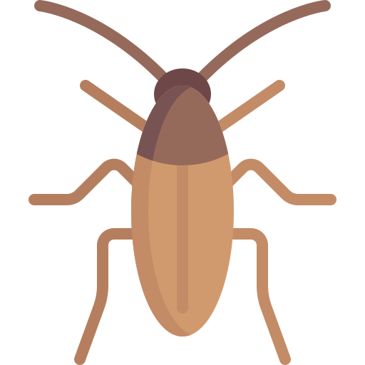 cockroach