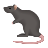 icons8-rat-48