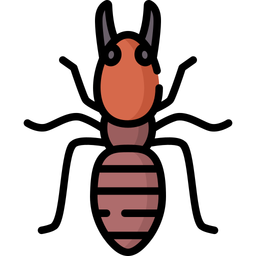 soldier-termite